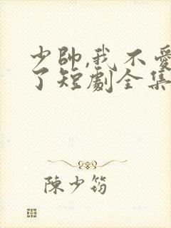 少帅,我不爱你了短剧全集免费观看16集