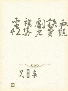 电视剧铁血英雄42集免费观看