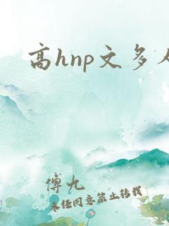 高hnp文多人