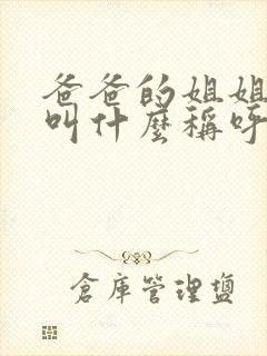 爸爸的姐姐儿子叫什么称呼