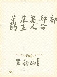 叶辰是哪部小说的主人公