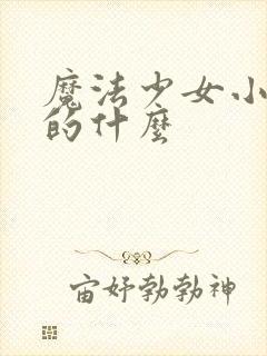 魔法少女小圆讲的什么