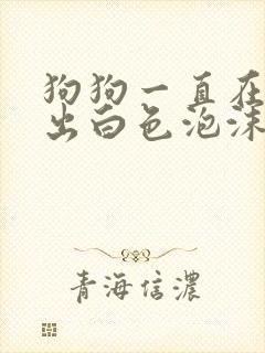 狗狗一直在呕吐出白色泡沫