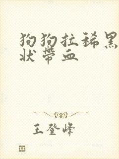 狗狗拉稀黑色糊状带血