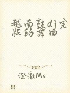 越南鼓dj完整版的舞曲