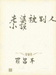 老婆被别人操的小说