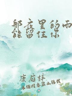 那夜里的雨也没能留住你