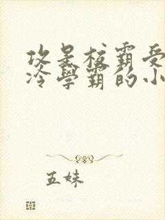 攻是校霸受是清冷学霸的小说