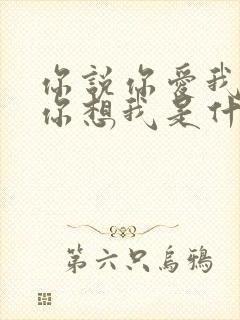 你说你爱我你说你想我是什么歌