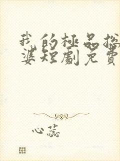 我的极品总裁老婆短剧免费高清完整版