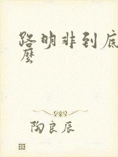 路明非到底是什么