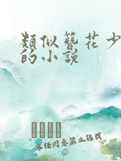 类似簪花少年郎的小说