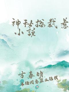 神秘总裁惹不得 小说