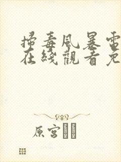 扫毒风暴电视剧在线观看免费完整版国语高清