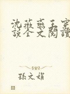 沈薇燕王穿越小说全文阅读