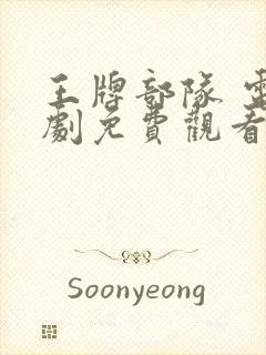 王牌部队 电视剧免费观看