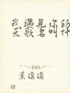 我遇见你的那一天歌名叫什么