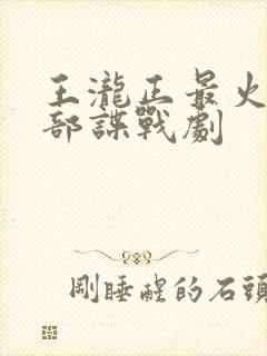 王泷正最火的5部谍战剧