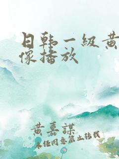 日韩一级黄色录像播放