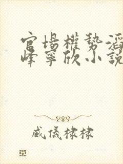 官场权势滔天林峰宁欣小说在线阅读