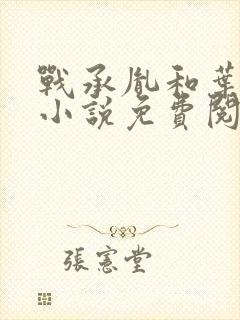 战承胤和叶苜苜小说免费阅读