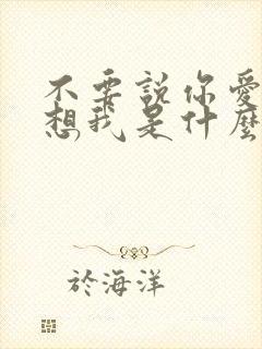 不要说你爱我你想我是什么歌