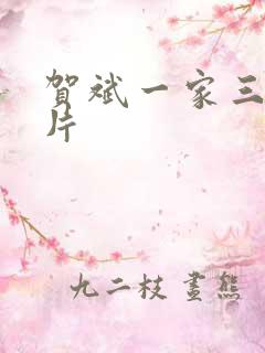 贺斌一家三口照片