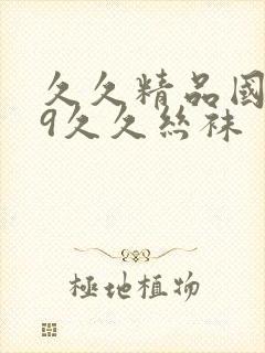 久久精品国产99久久丝袜