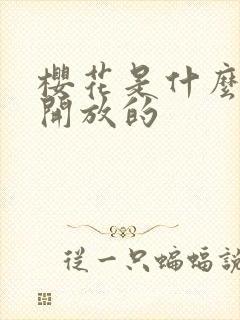 樱花是什么时候开放的