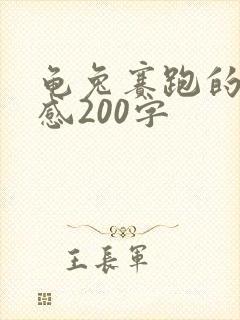 龟兔赛跑的读后感200字