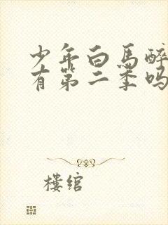 少年白马醉春风有第二季吗