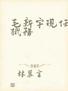 毛新宇现任什么职务