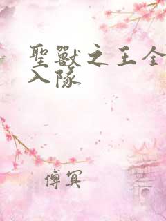 圣兽之王全角色入队