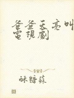 爸爸天亮叫我 电视剧