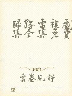 归路电视剧30集全集免费观看高清