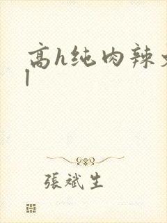 高h纯肉辣文bl