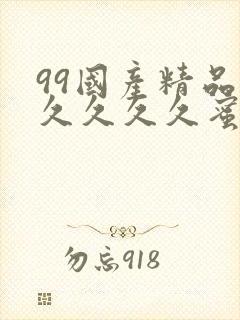 99国产精品久久久久久蜜月