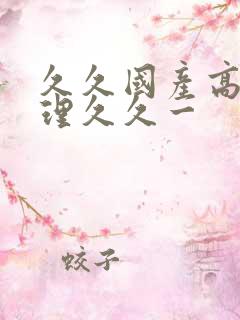 久久国产高清伦理久久一