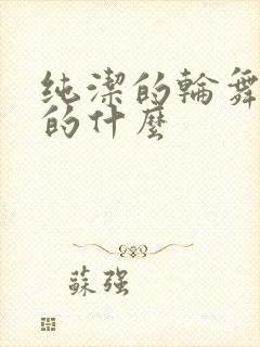 纯洁的轮舞曲讲的什么