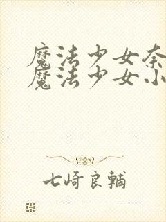 魔法少女奈叶和魔法少女小圆