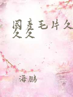 国产毛片久久久久久