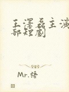 王泽磊主演的全部短剧