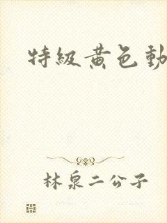 特级黄色动作片