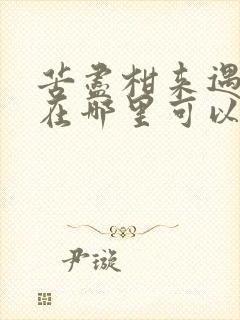 苦尽柑来遇见你在哪里可以看