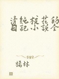 清纯校花的堕落日记小说全文免费阅读