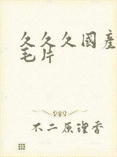 久久久国产精品毛片