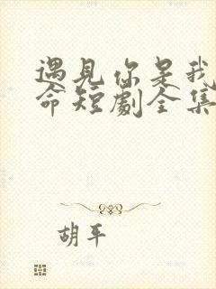 遇见你是我的宿命短剧全集免费播放