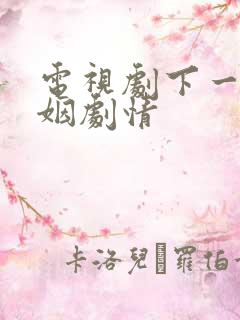 电视剧下一站婚姻剧情