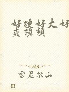 好硬好大好爽好爽视频