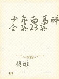 少年白马醉春风全集23集